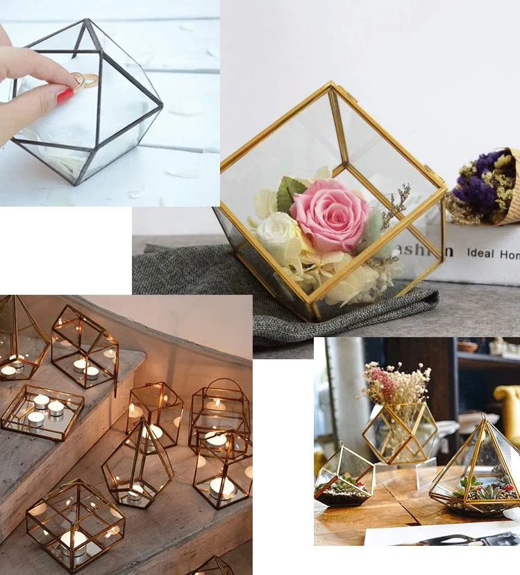 geo terrarium05.JPG