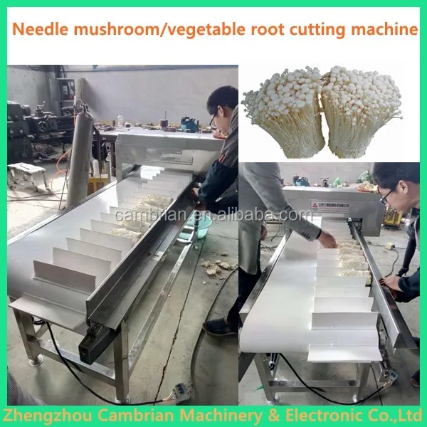 needle mushroom root cutting machine (8)