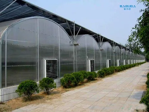 agricultural  greenhouse .jpg