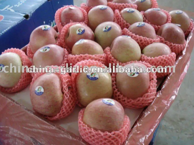 Chinese_Fresh_Fuji_Apple[1].jpg