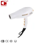 China wholesale cheap professional hair dryer blow 2200w germany CB-3300
