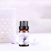 /product-detail/oem-30ml-natural-pure-lavender-herbal-rose-flower-massage-essential-oil-60789045038.html