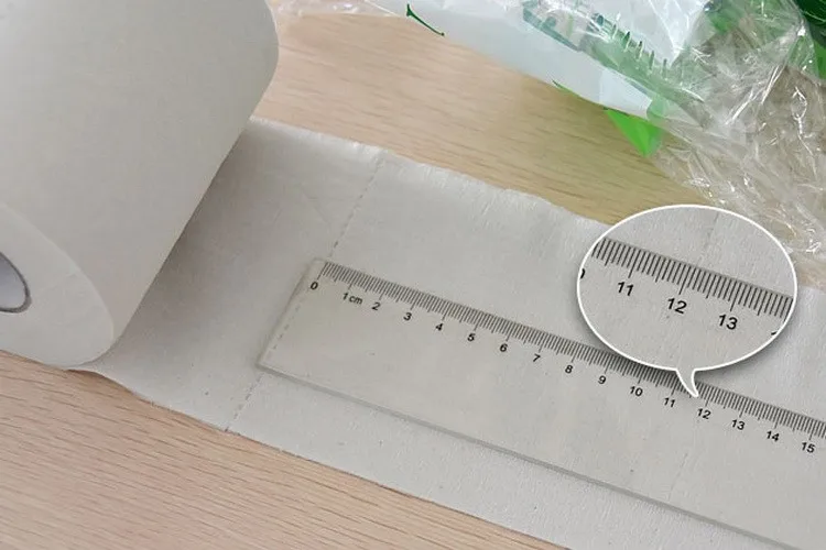 Toilet Paper13-09