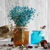 /product-detail/french-home-deco-vase-in-glass-60587148812.html