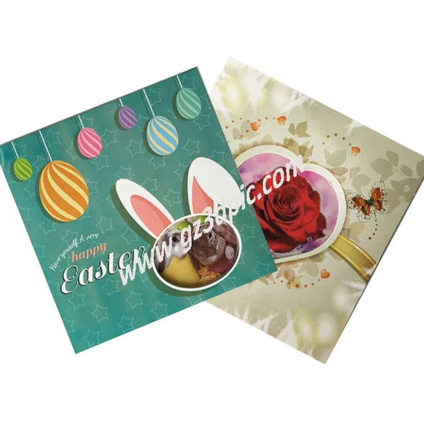 2017 special for one pp material gift card funny birthday cards