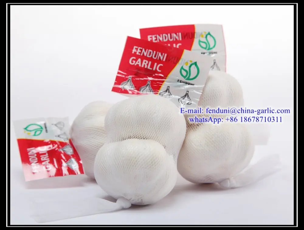 garlic sprout price