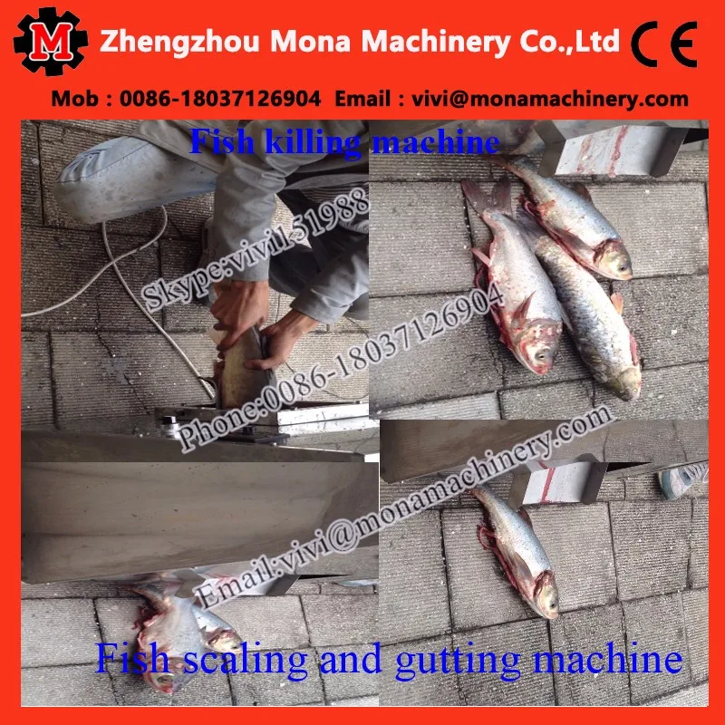 fish killing machine (2).jpg