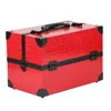 Elegant aluminum suitcase for cosmetics, make up set box china vanity case with 4tays pull out 2 sides and PVC film