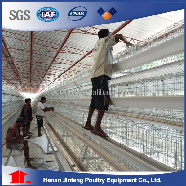 pullet, layer broiler pullet chicken cage for pakistan chicken farm
