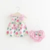 2018 Wholesale baby girls 2pcs outfit printed tops and shorts girls' clothing sets