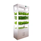 Agricultural Greenhouse Hydroponic Vegetable Indoor Garden For Urban Cultivator