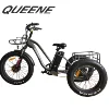 /product-detail/queene-2019-fat-tyre-electric-tricycle-three-wheel-electric-cargo-bike-new-arrival-62045698276.html