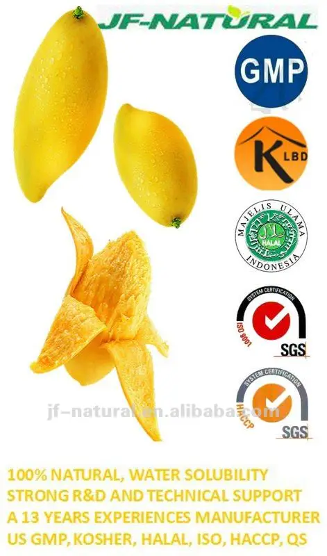 Food Grade Mango Extract Beverage Powder