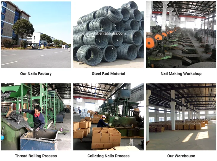 China manufcturer supply directly (2.87mm x 50mm) screw wooden pallet coil nails for sale oversea market