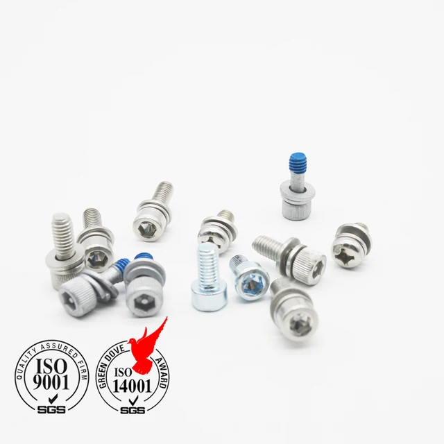 SUS 304 Anti-Theft Screw Hex Socket Head with Spring Flat Washers
