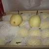 new crop fresh pear