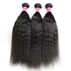 MsMary Peruvian Kinky Straight Human Hair Bundles, Can Be Dyed & Restyled