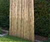 /product-detail/willow-mat-rolled-reed-wicker-fencing-for-patio-60514717167.html
