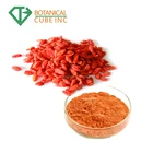 Manufacturer Supply Best Taste Goji Berry Powder