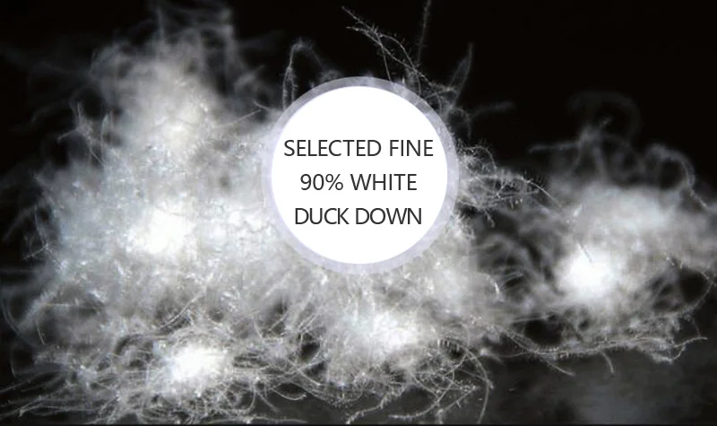 3288442437_1755975072_