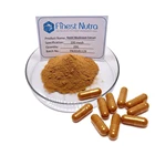 Customer OEM Service Lingzhi Mushroom Extract Capsule