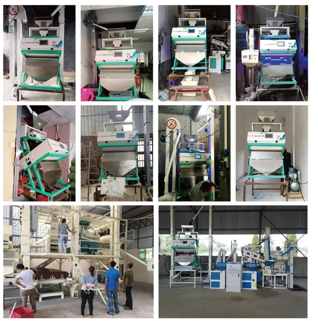 Factory Price Coffee Cherry Soybean CCD Mini Seeds Color Sorter Machine Grain Color Sorting Machine details