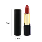 2019 Currenty Hot Selling Good Quality Private Label Natural DIY no Logo Matte Liquid Lipstick Waterproof Wholesale