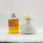 High quality aroma ceramic bottle diffuser, wholesale home fragrance from manufacturer