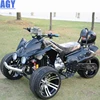 AGY all terrain vehicle 250cc 300cc trike scooter