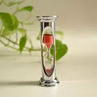 Novelty Octagon metal Waterproof shower sand timer hourglass