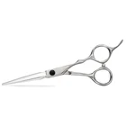 Professional stainless steel best beauty salon hair scissors