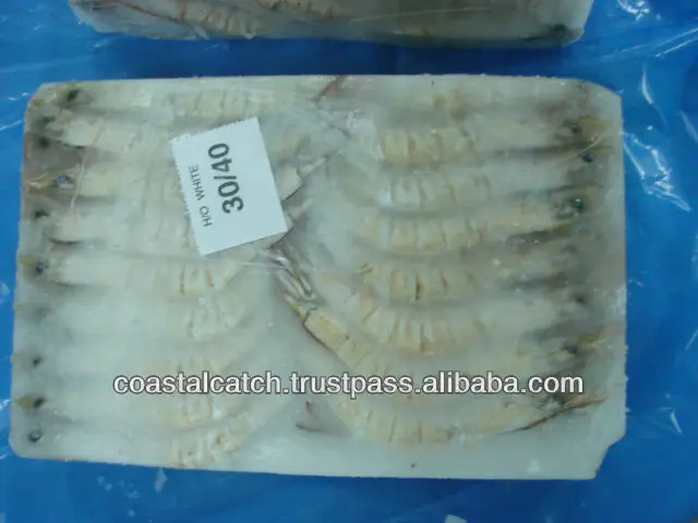 sea white 30 40 1.JPG