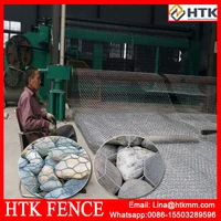 Automatic Reverse Twist Hexagonal Wire Netting