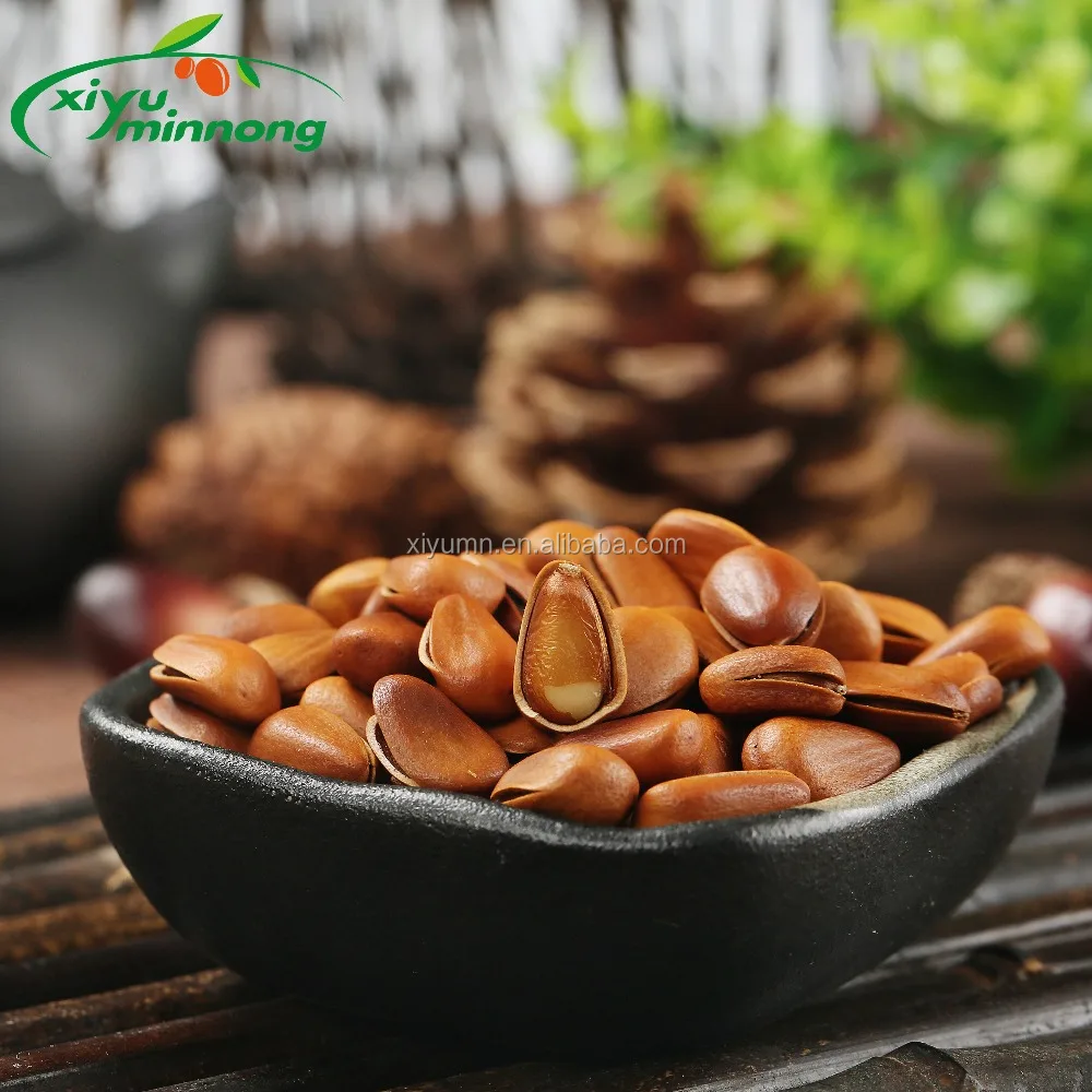 pine nut wholesale shelled pine nuts kernels price