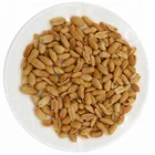 Fried roasted and salted peanuts kernels without skin shell