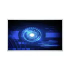 industry product M236HJJ-L31 Version C6 23.6 inch lcd panel with 30 pins controller board wide temperature