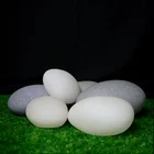 Wholesale novelty LED stone decorative light with color changing