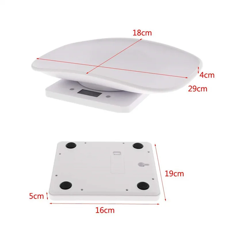 pet scale 04.jpg