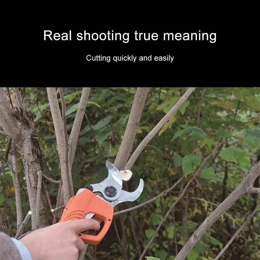pruning shears (2).jpg