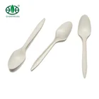 Biodegradable starch cutlery, disposable plastic cornstarch tea spoon 145mm Bulk