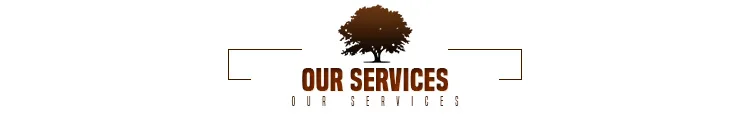 services.jpg