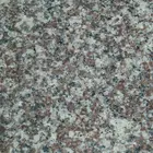 G664 natural granite stone tiles 60x60cm