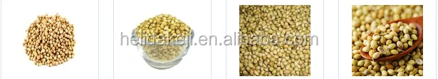 CORIANDER SEED