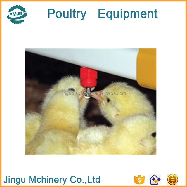 JINGU Series High-quality chicken poultry farm equipment