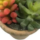 Succulents Plants Faux Succulents Decorative Artificial Mini Succulents Plants Plastic Succulents Faux
