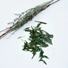 2019 Top Rating Organic Long Jing Xi Hu Dragon Well Chinese Green Tea Price per KG Offer