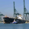 Sea coal buckthorn berry extract scrap metal shipping