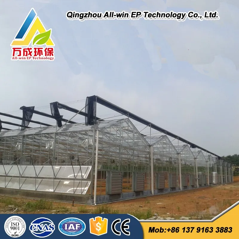 Low Cost Hydroponics Agricultural Commercial Glass
