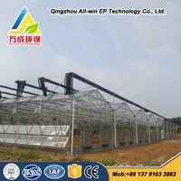 Low Cost Hydroponics Agricultural Commercial Glass