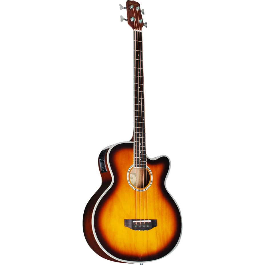 acoustic bass with basswood back